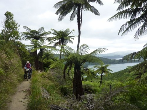 1.1488699939.1-queen-charlotte-trail