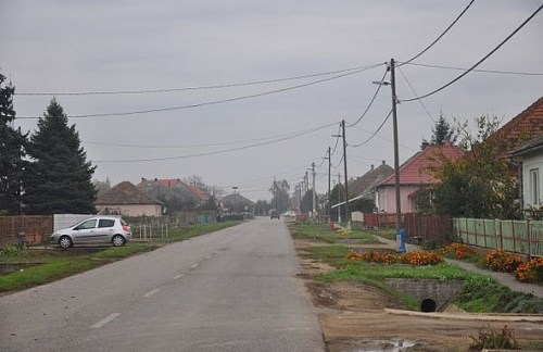 1.1414263956.tr-be-graue-d-rfer-in-ungarn