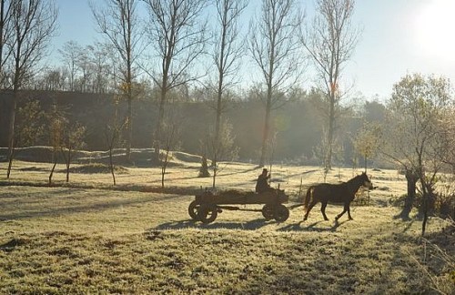 1.1415045825.der-nachbar-f-hrt-zur-arbeit