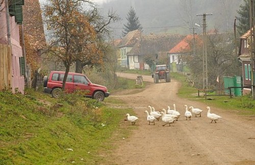 1.1415045825.im-dorf