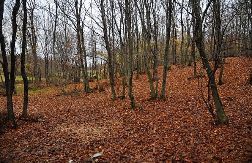 1.1419699392.mein-schrecklicher-schlafplatz