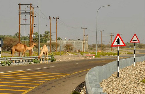 1.1429359884.pay-attention