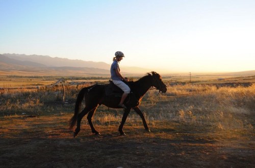 1.1442759857.1-ich-auf-einem-pferd