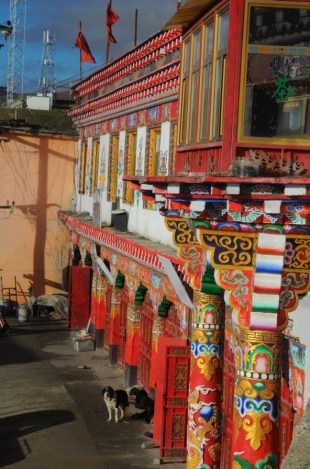 1.1444708875.bunter-h-user