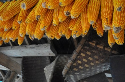 1.1447915546.mais-trocknet