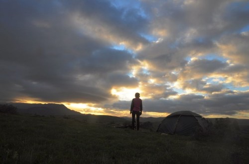 1.1470046262.1-morgens