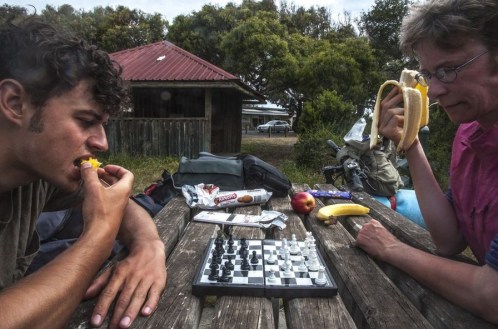 1.1480832592.toon-and-i-play-chess